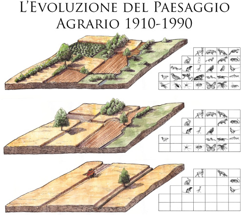 Semi di scienza sfalcio dei prati